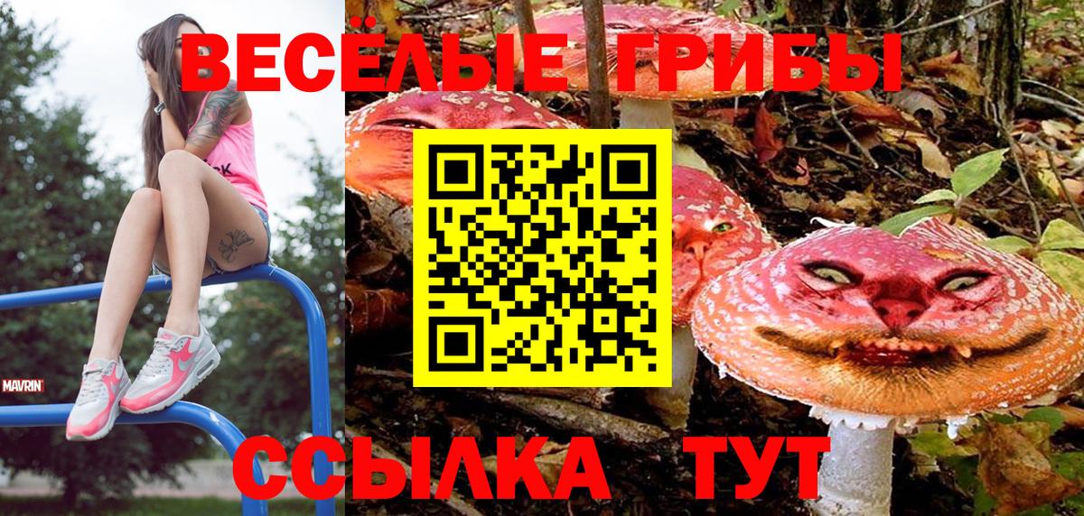 Галлюциногенные грибы Magic Shrooms Казань